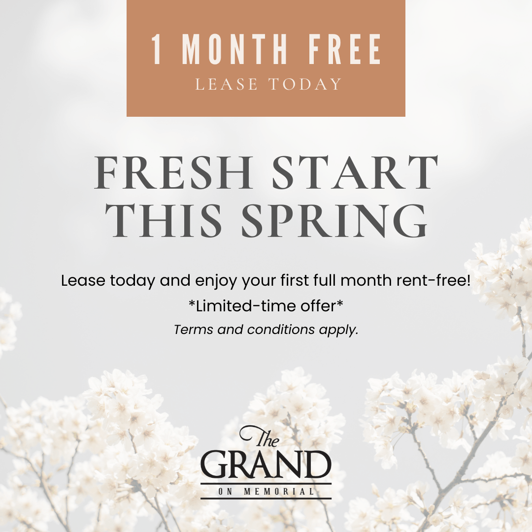 Move In Promotion Banner